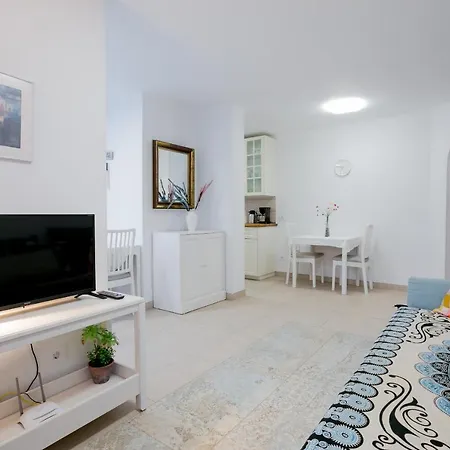 365 Parque Santiago Ii View, Tv Sat Apartment Playa de las Americas (Tenerife)